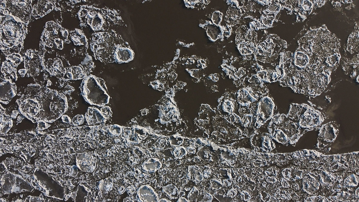 人工智能判读CD4-CD8双重免疫组化染色结果的准确性研究