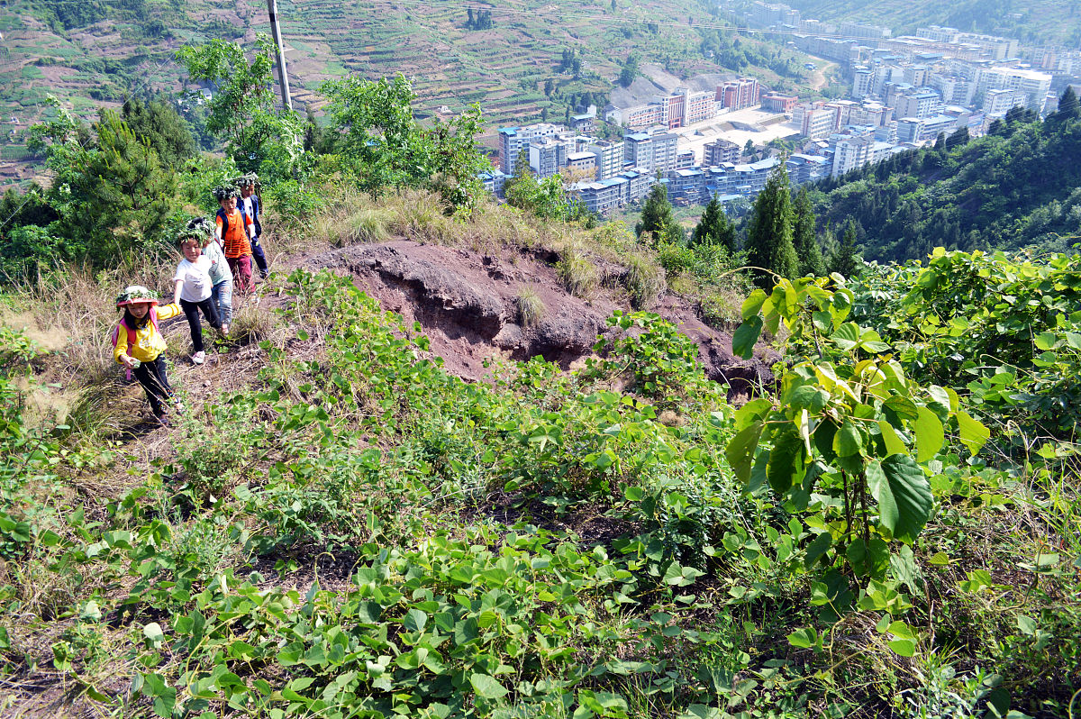 忠县善广乡可以种龙眼吗帮我用200字详细描述