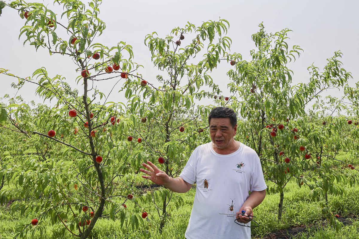 曲靖农业中等学校五年制大专报名咨询电话 - 培养农业人才，开启职业新篇章