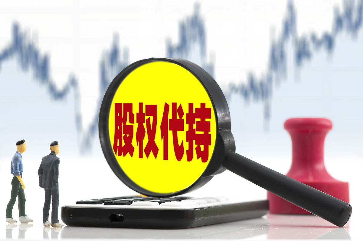 代持股份协议书范本：投资协议补充条款