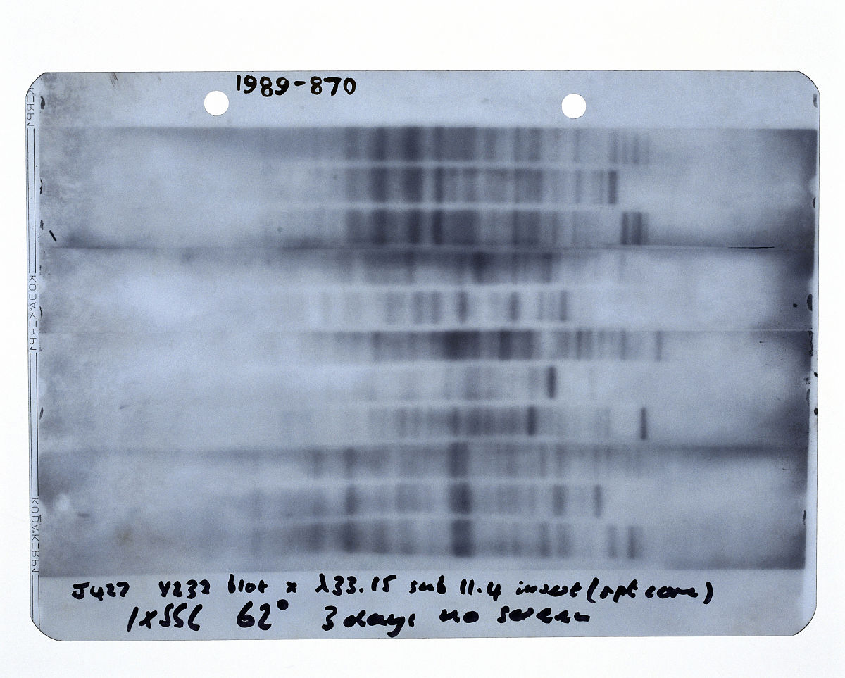 Addressing Reviewer Comment on ICP, XPS, and EDS Data Correlation in Electrocatalytic Study