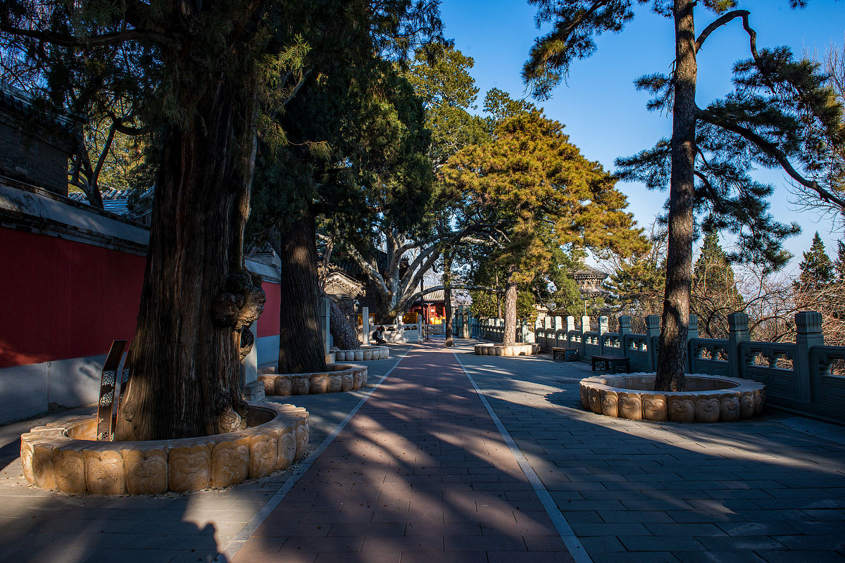 2019年12月7月,北京戒台寺,中国北方保存辽代文物最多,最完整的寺院.