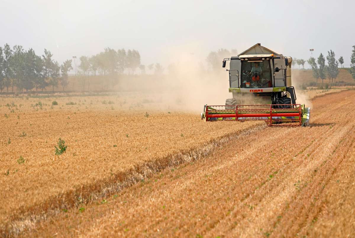 村级集体经济项目联农带农机制：七大措施助力发展