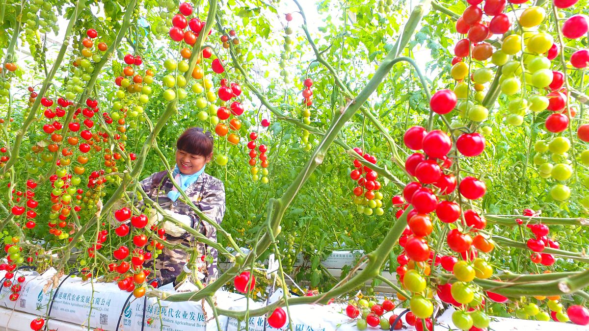 大理科技管理学校专业介绍：信息管理、工商管理、物流管理等