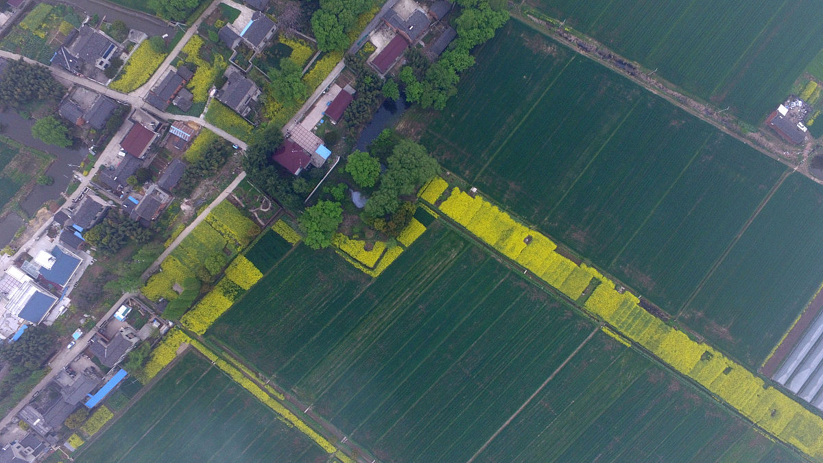 扬中中等专业学校2022年招生简章