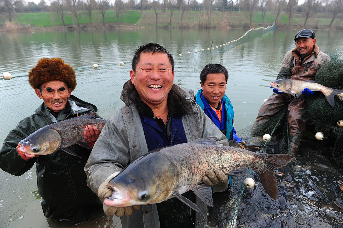俄罗斯有哪些水军农场