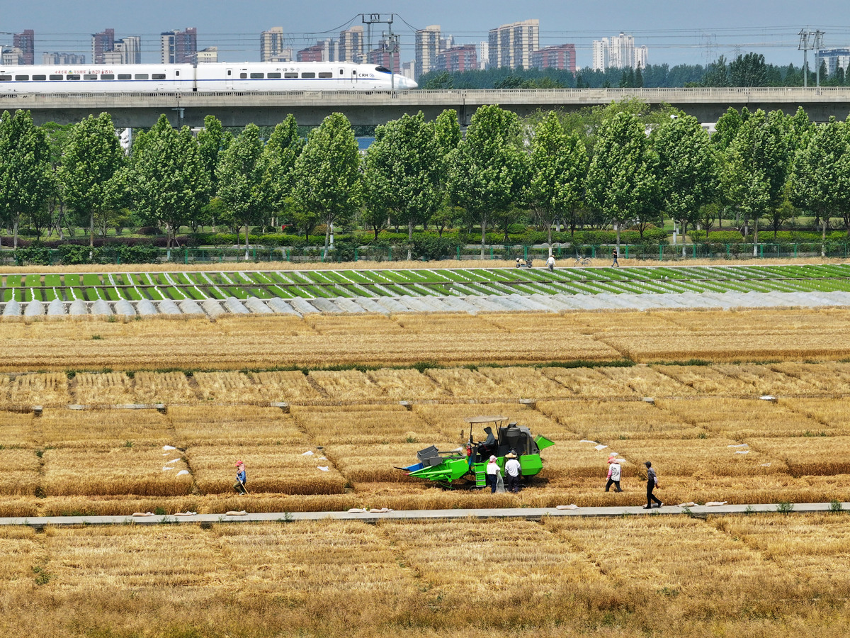 集约土地，推行规模化机械化种植的难点及解决措施