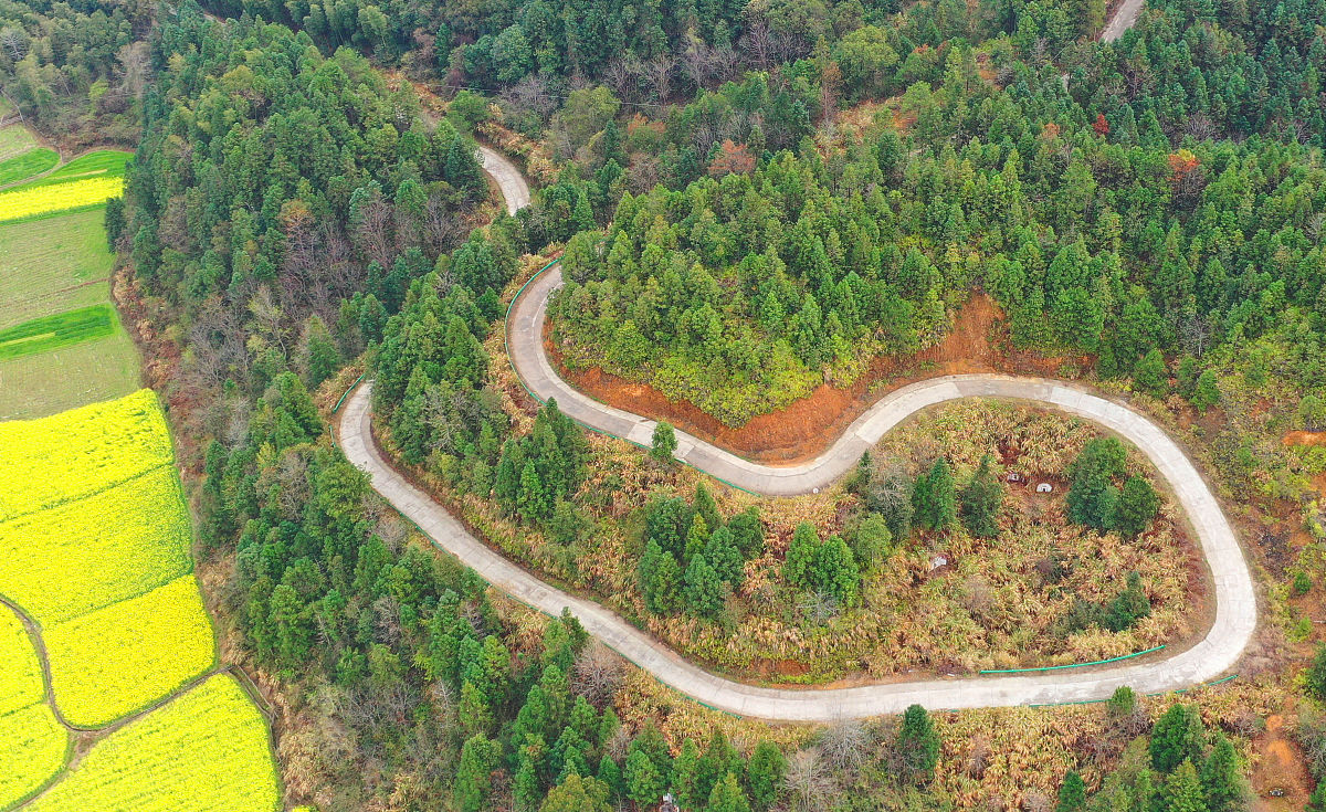 朱家角开展共奔小康幸福路——2020年农村数字公益电影专题展映