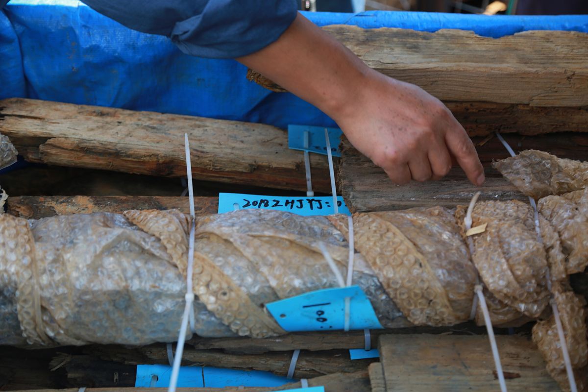 甲午中日战争：起因、过程、结果及影响