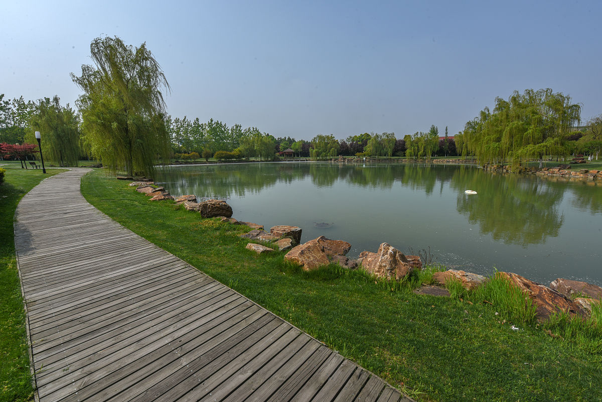 请帮我生成一篇900字的在西溪湿地公园实习一天的景观实习报告