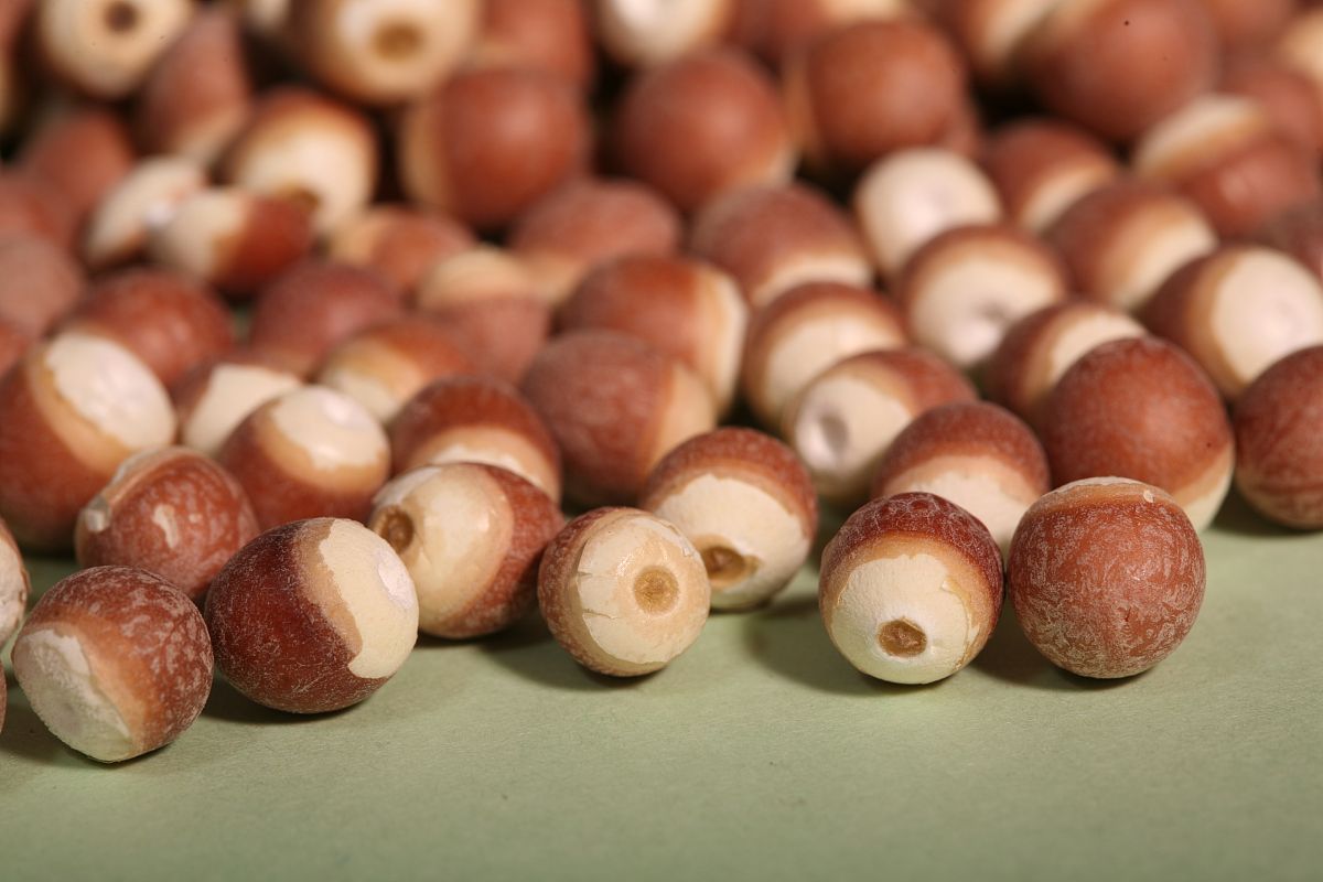 盐城有什么特产