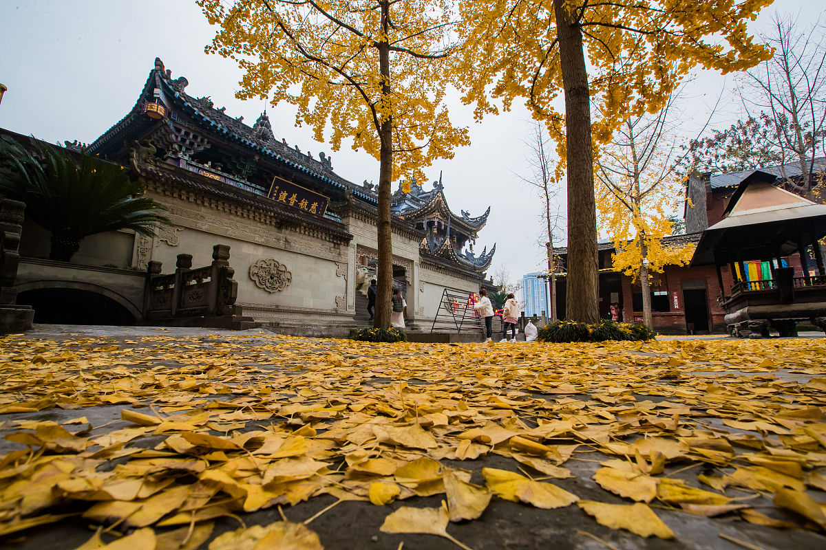 重庆旅游职校专业介绍：2020年热门专业一览