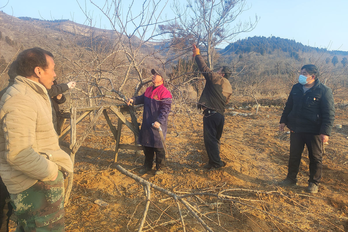 甘肃2023年大专和中专是什么意思