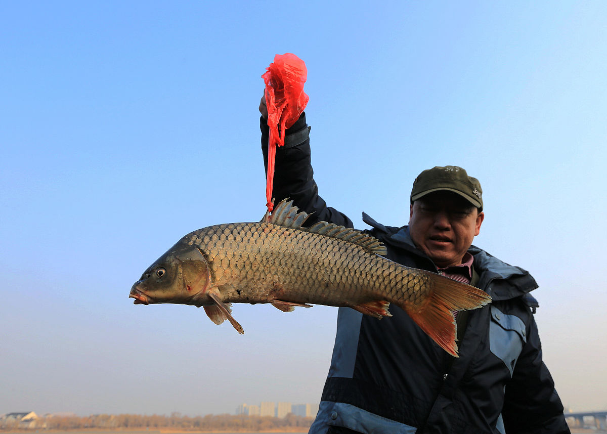 写一段用老酒致敬奋斗者的捕鱼儿