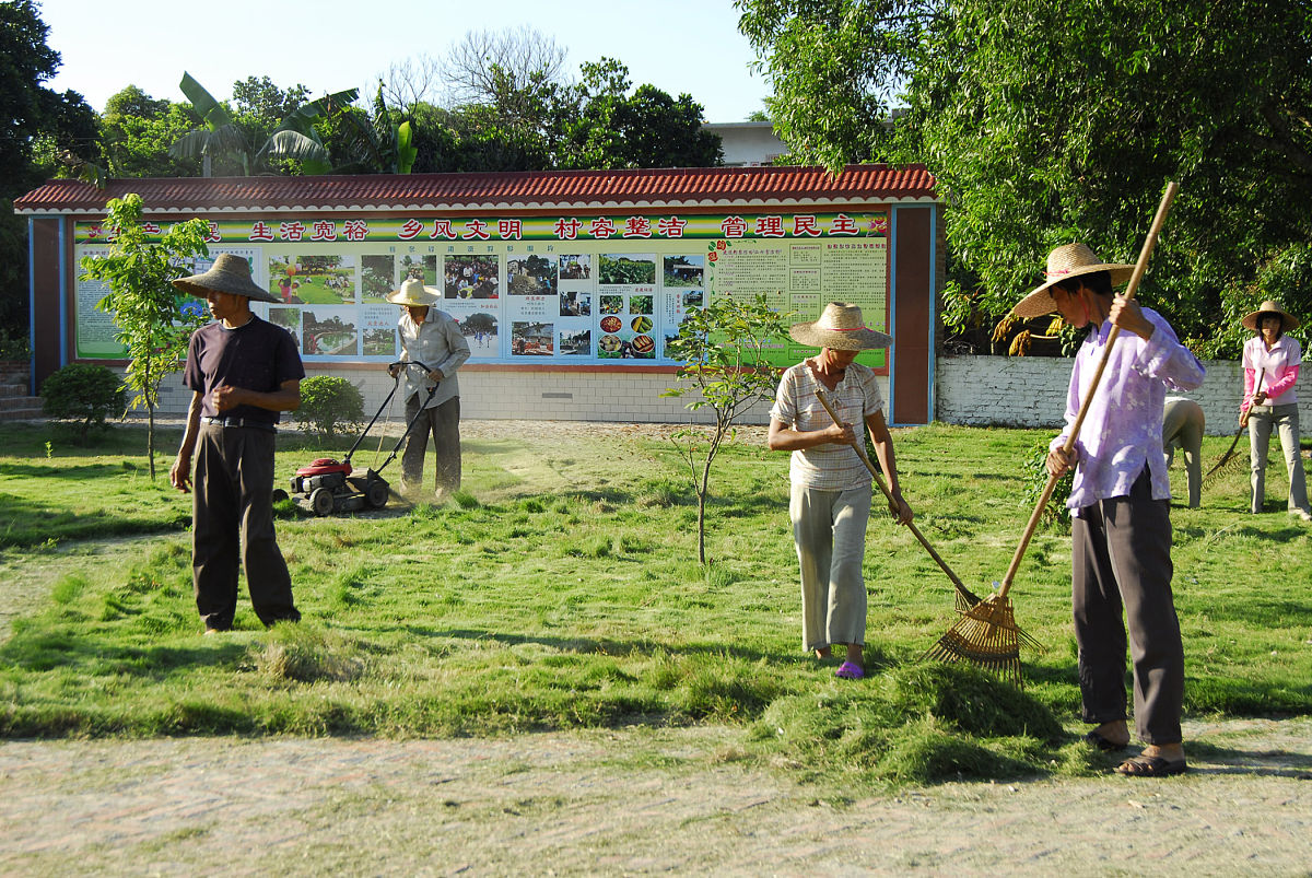 双桥村发展困境与建议:如何促进乡村振兴? 双桥村发展困境与建议:如何促进乡村振兴?
