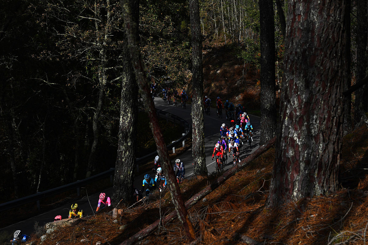 LA 字母组合的单词列表：从简单到复杂