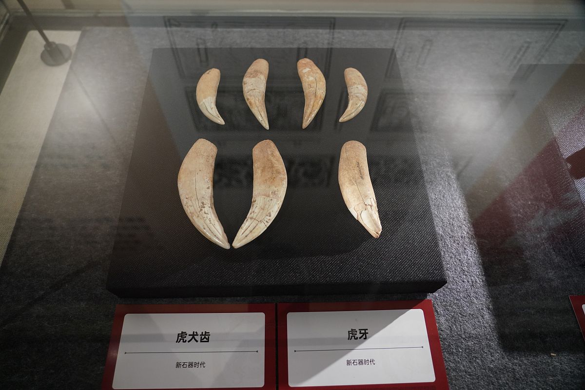 虎牙的生肖怎么打