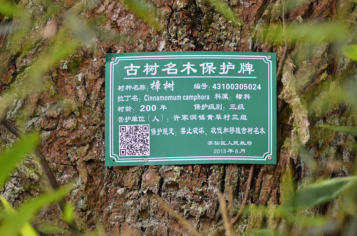 2023湖南郴州市苏仙区招聘教师56人公告