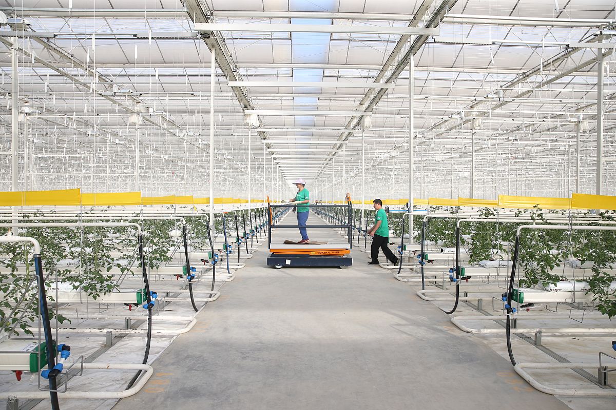 山西运城农业职业技术学院设施农业与装备专业就业前景如何