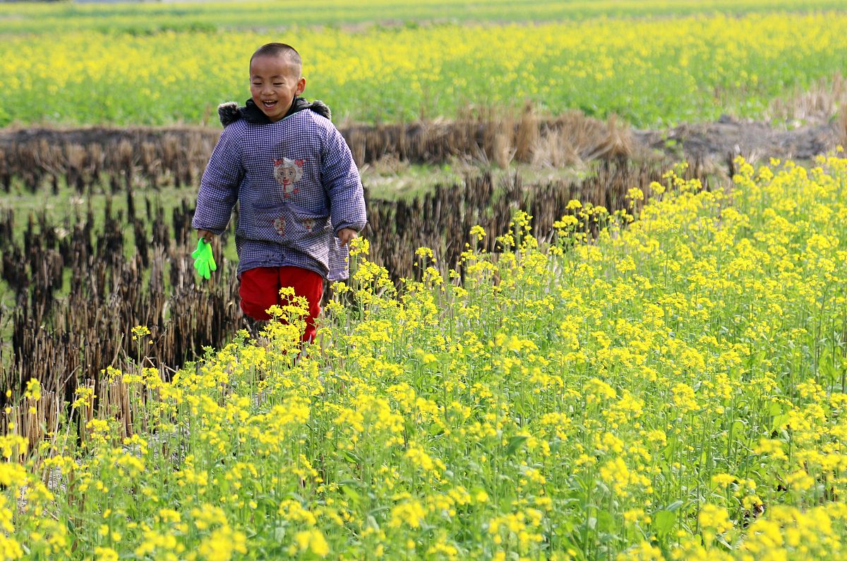 农村两家争土地边界怎么处理。要求：写一篇500字左右的文章不能出现电话。