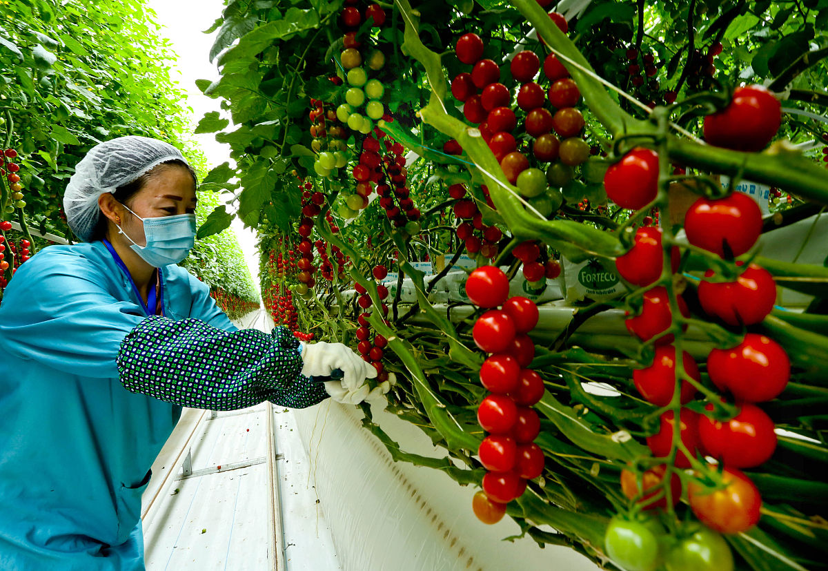 甘肃哪些学校开设有农业机械化专业