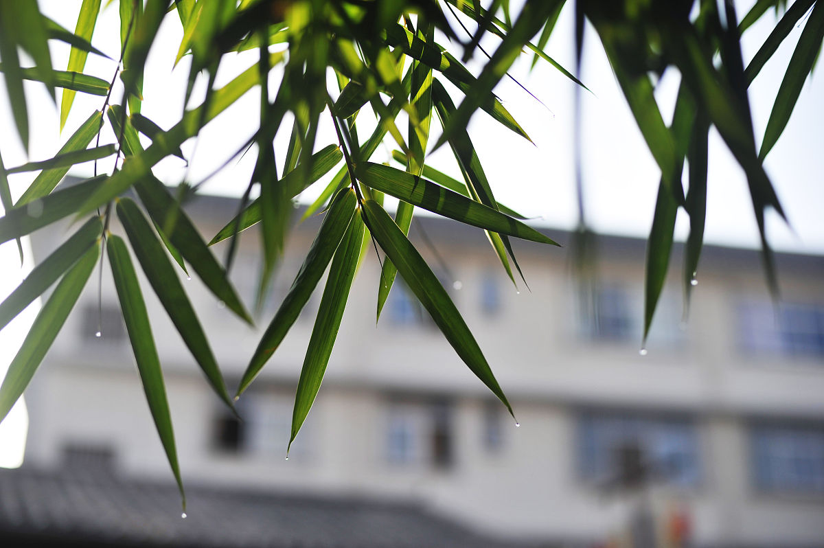 唐山高中毕业上什么中专学校