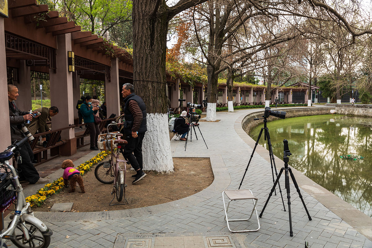 四川2022年有哪些汽修学校就业比较好