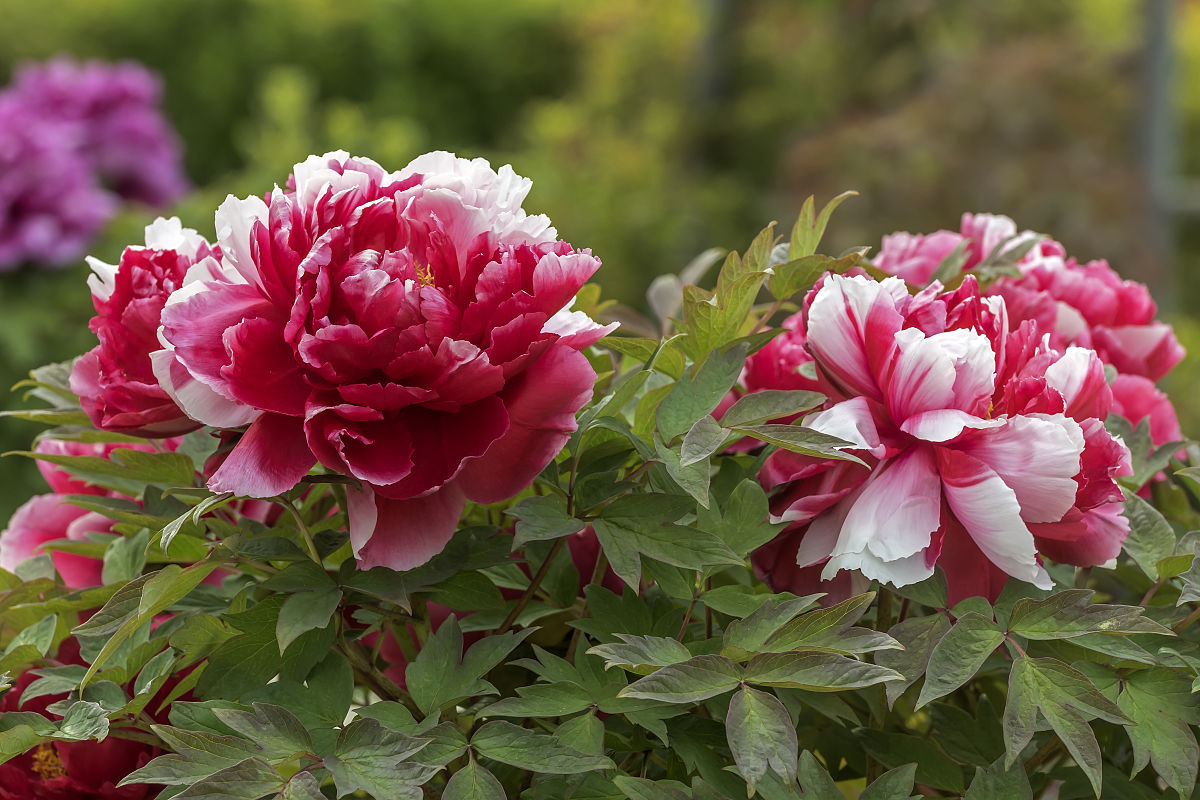 2023年聊城市化工职业中等专业学校