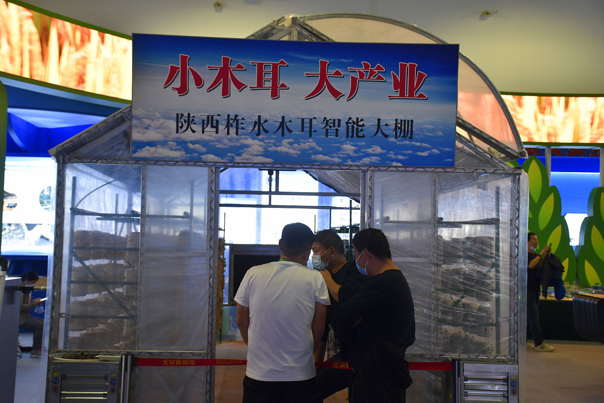 北京科技经营管理学院旅游管理专业怎么样？热门专业，就业前景好！