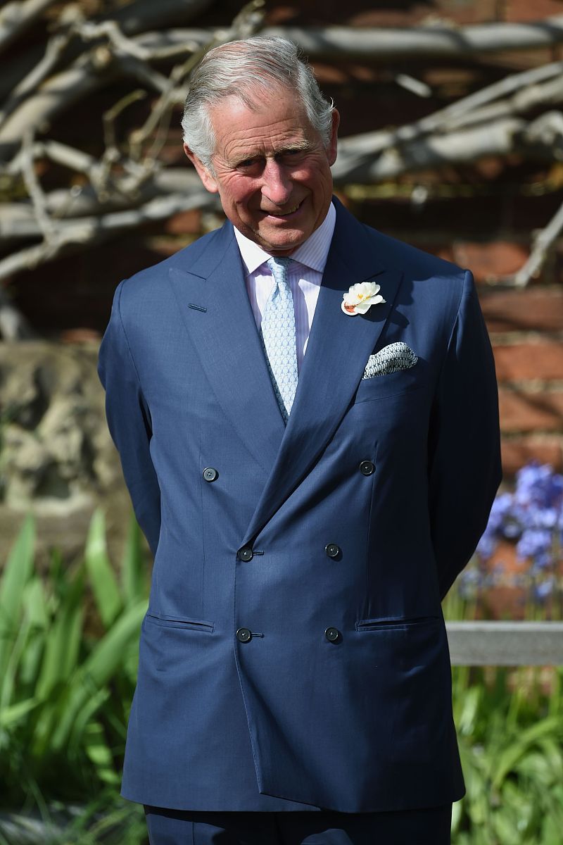 文豪迷犬怪奇谭国服版手游更新日志 - 新增角色、剧情、玩法！