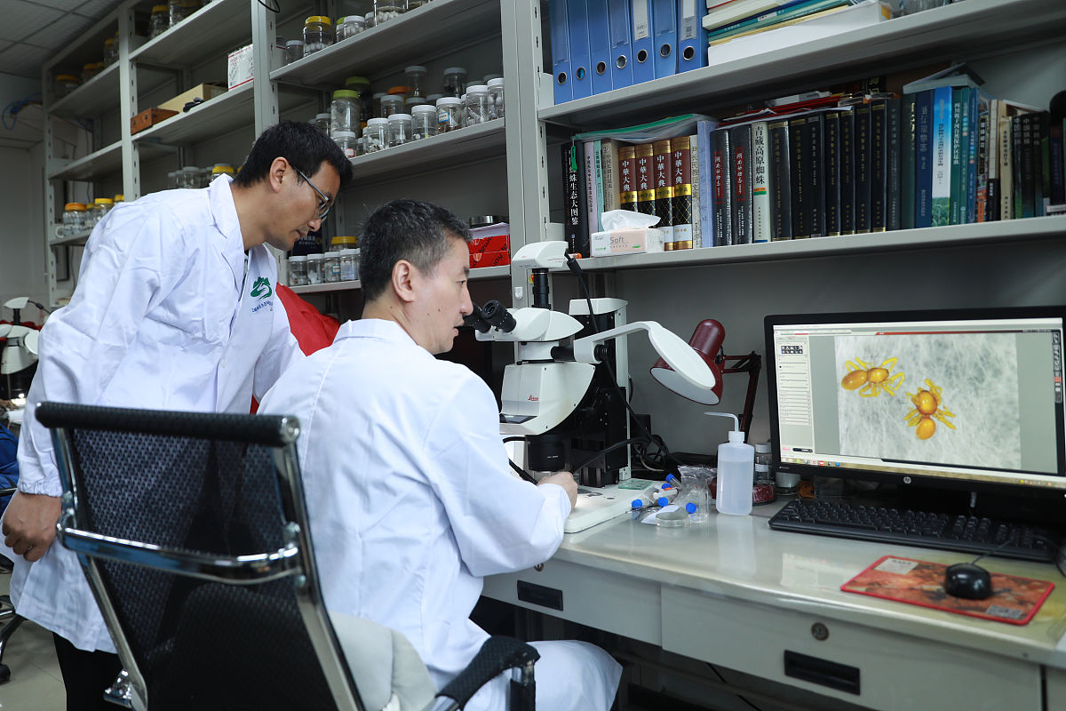 武汉职业技术学院开设哪些与药剂相关的专业？