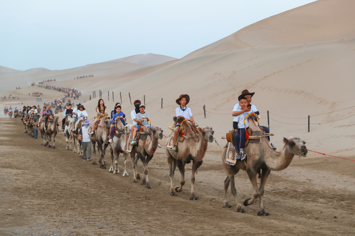 赛驼训练现场：打造最佳驼队的训练场