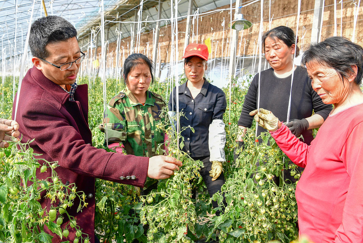 河北旅游职业学院中草药种植技术专业：前景广阔，值得选择吗？