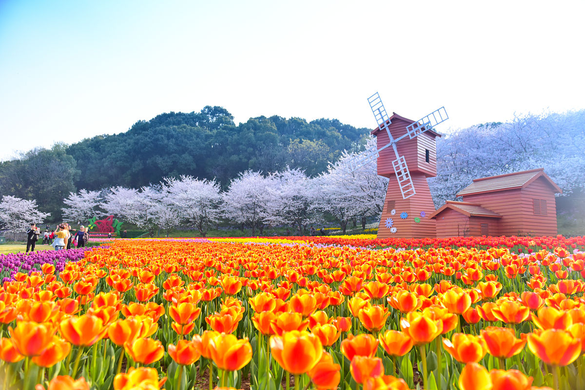 小学二年级小练笔