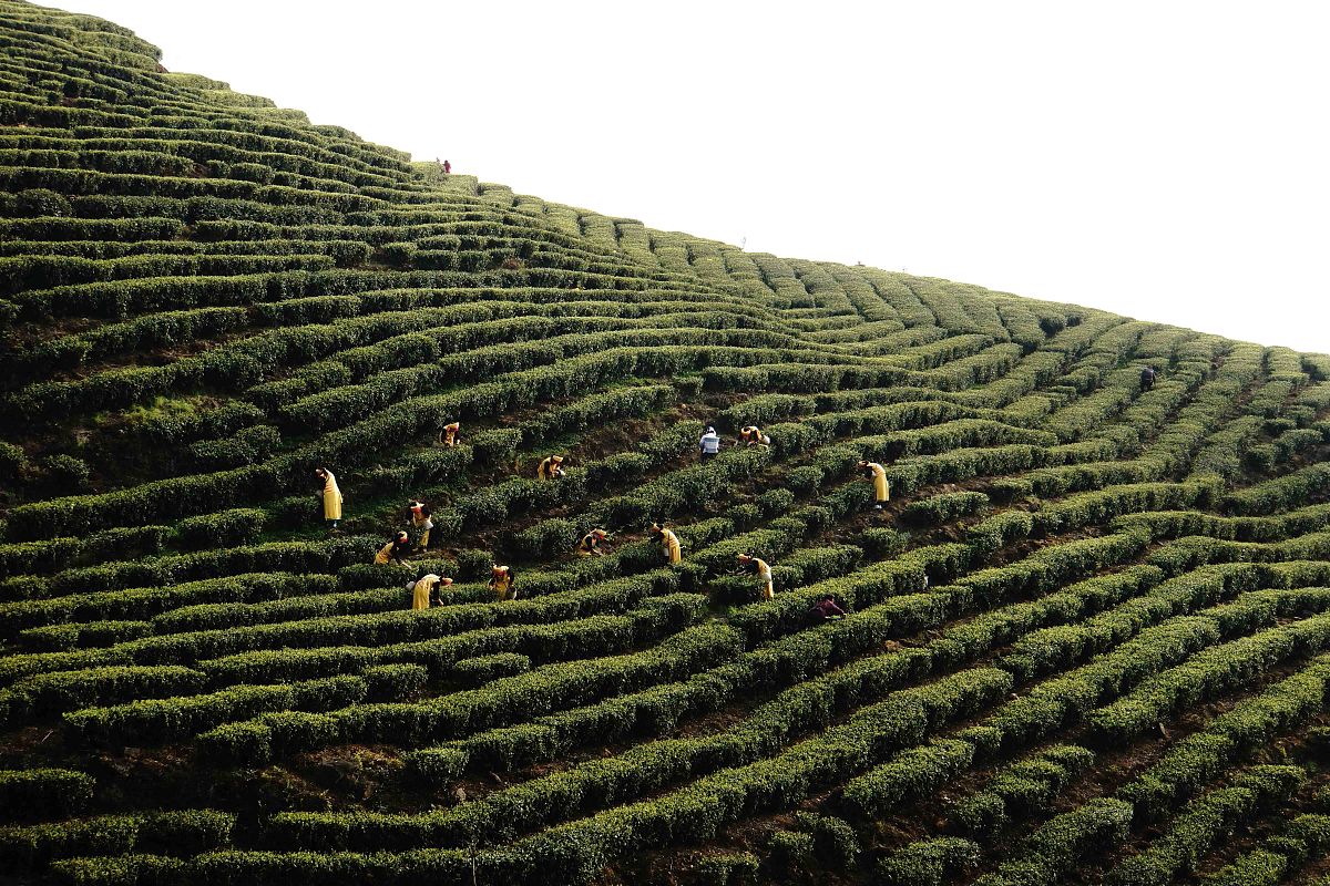 2023道真县中等职业学校招生专业及相关信息