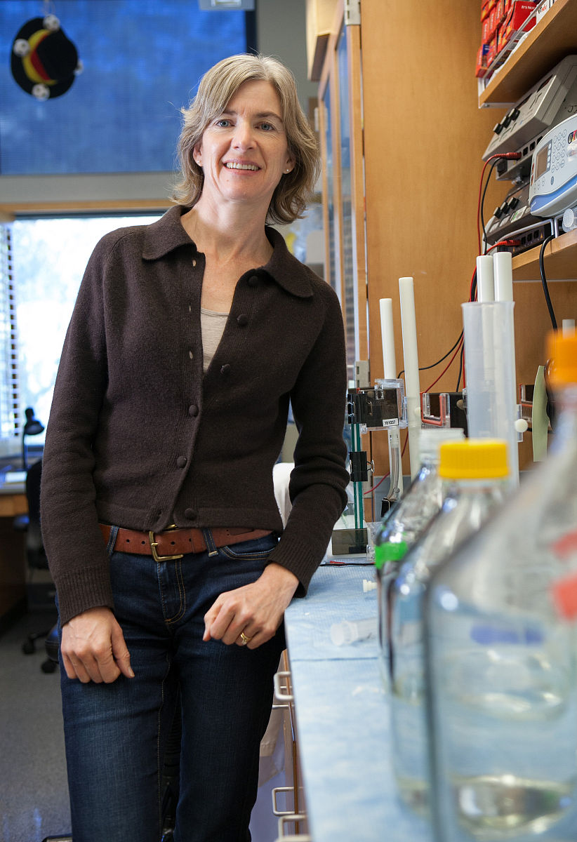 化学专业大学排名 学化学以后有哪些出路