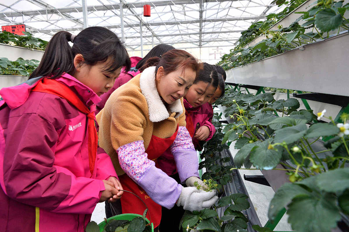 阜阳经贸旅游学校的果蔬花卉生产技术好不好