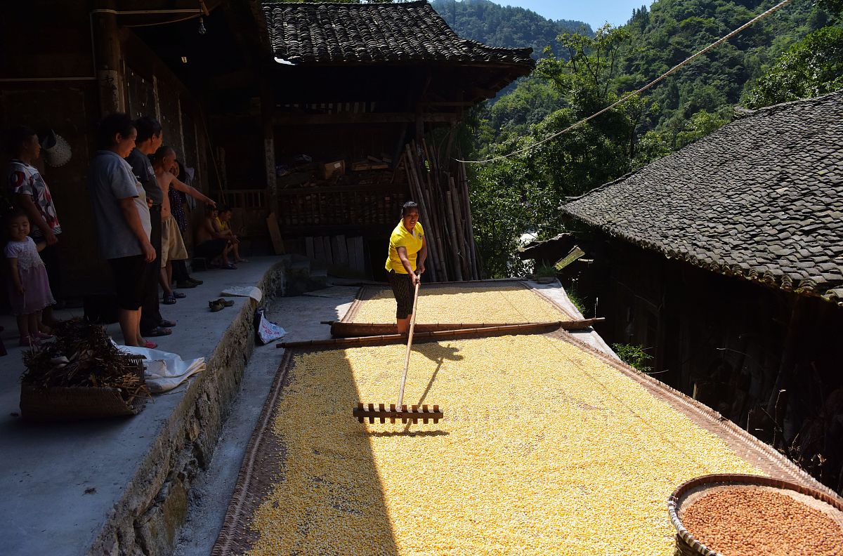 重庆市工业学校旅游服务与管理专业怎么样？好学吗？
