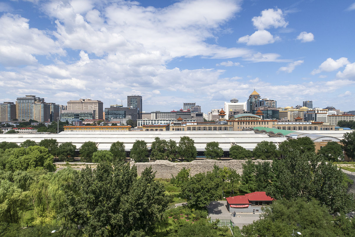 延安市宝塔区大树进城存在的问题及对策分析的研究目的与意义不少于600字。