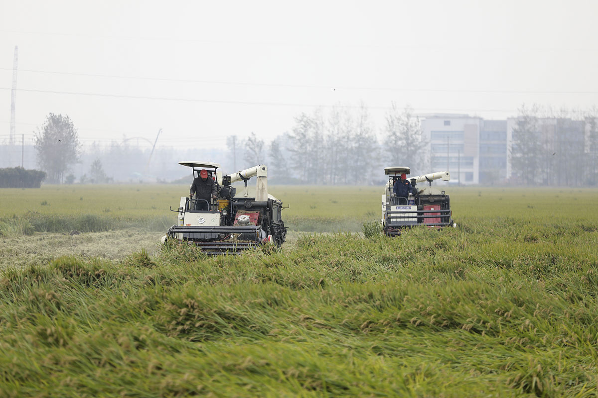 四川开设有农业机械化及其自动化专业的学校有哪些