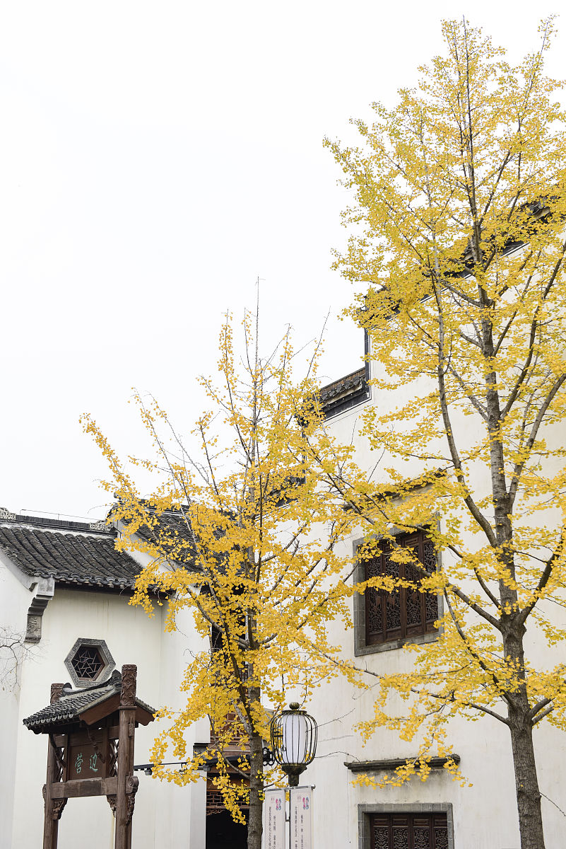 大唐文化主题产品设计：结合传统与现代的设计理念
