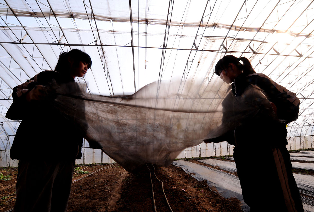 新员工入职发表感想