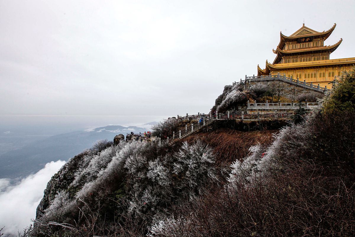 乐山新世纪学校2022年招生简章 - 优质教育，培养全面发展人才