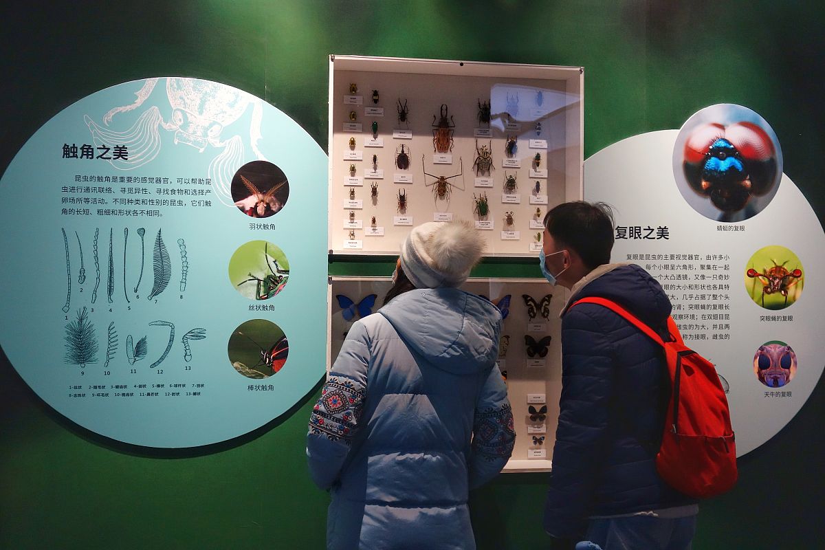 西安欧亚学院的视觉传达艺术设计专业前景如何