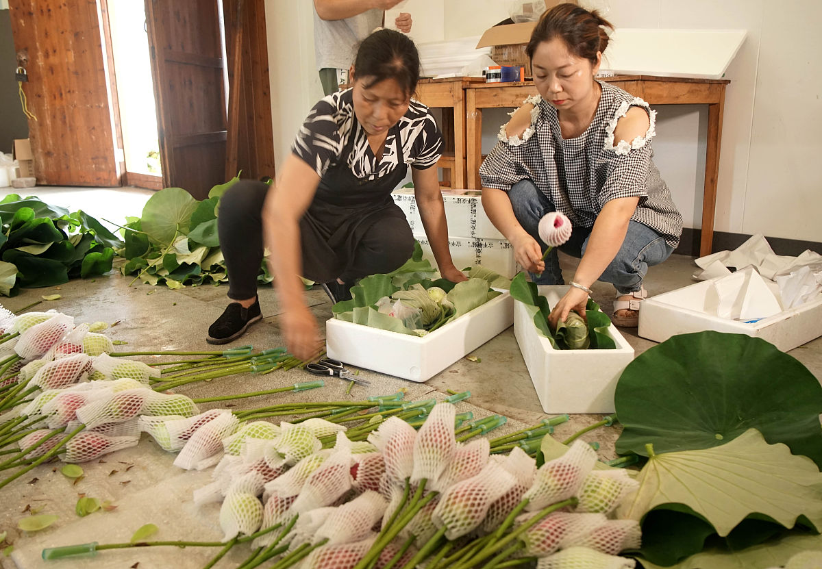 香兰阁®和颜舒容洁面露在哪里买？