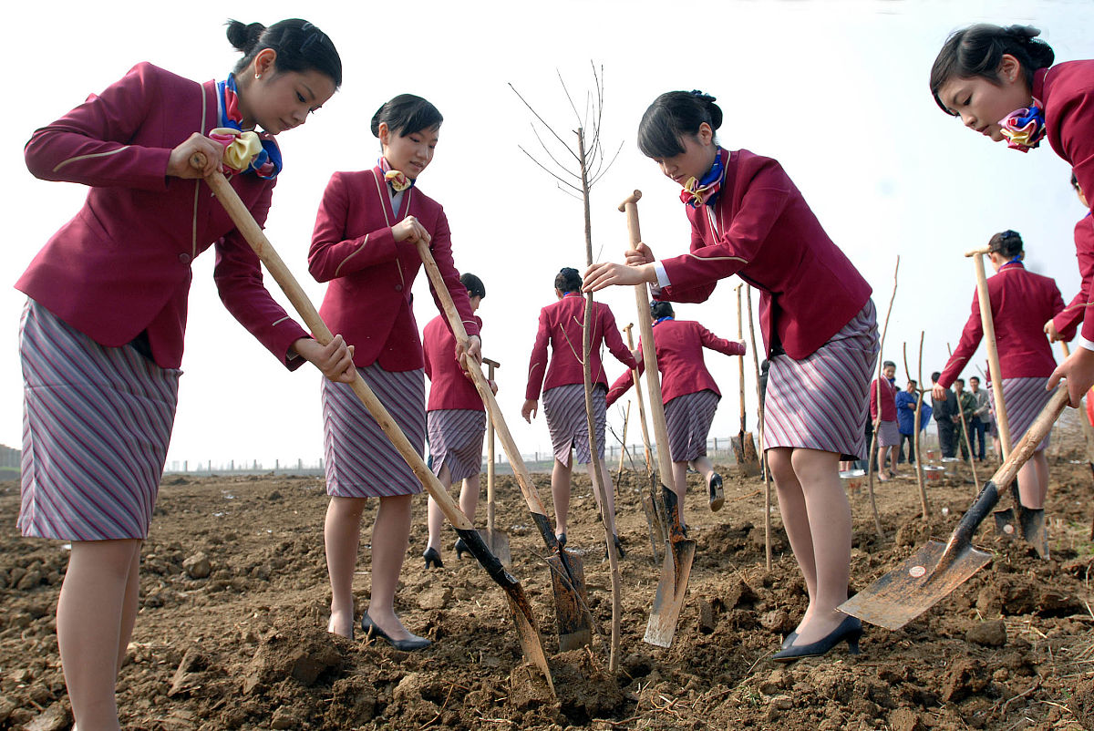 2008年3月11日,南航12名空姐来到武汉市东西湖柏泉农场参加义务植树,