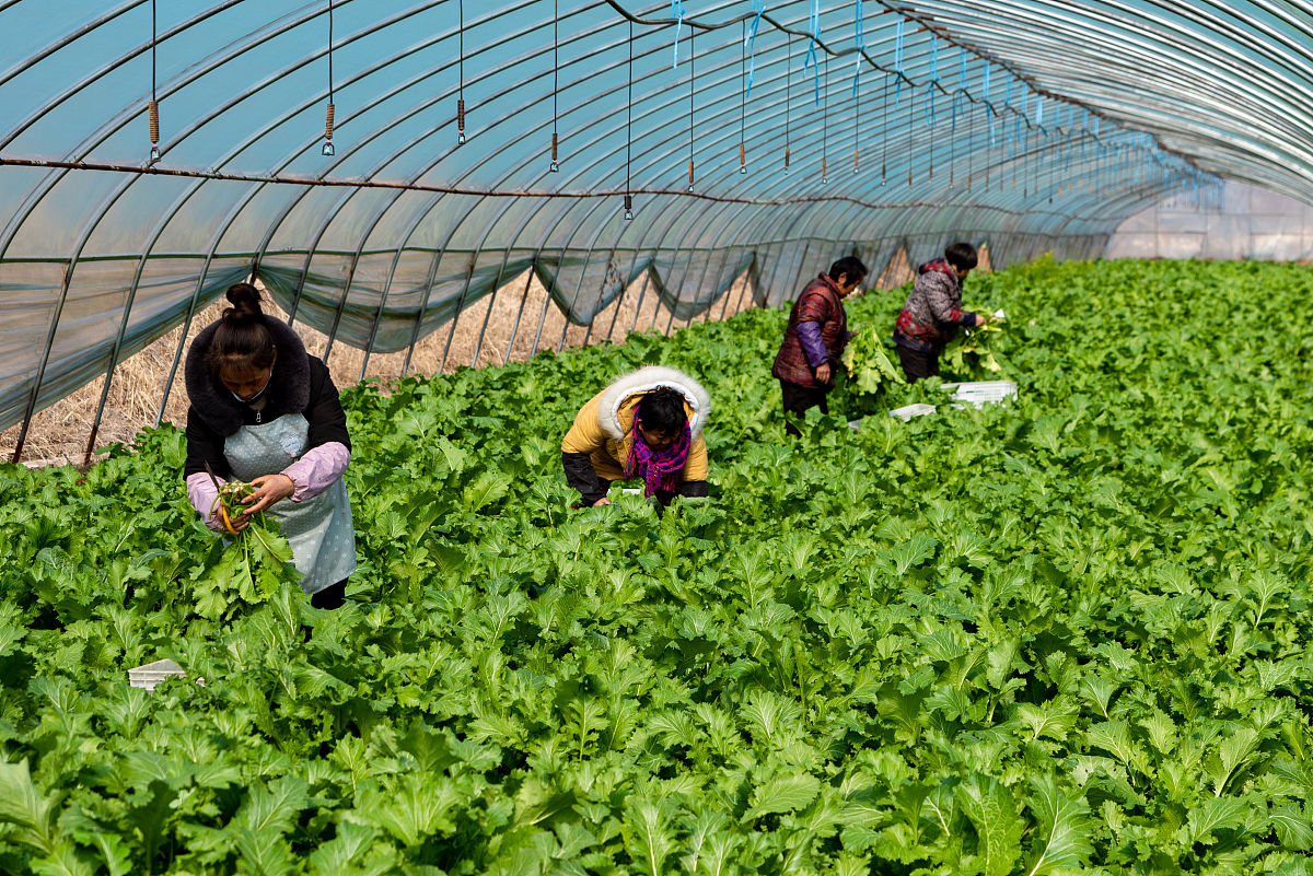 安徽经济贸易学校2021年招生简章