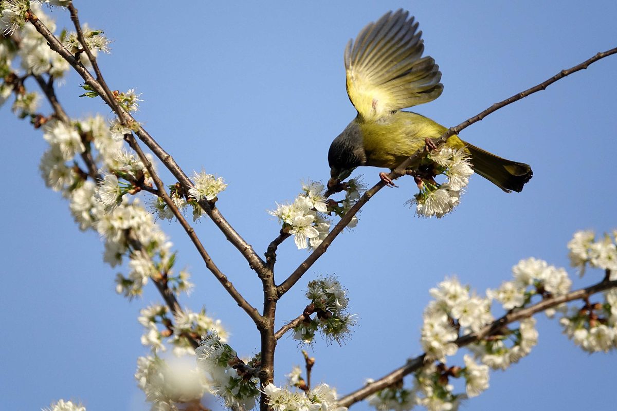 2023年毕节市财贸学校招生简章 - 培养财务、金融、贸易人才