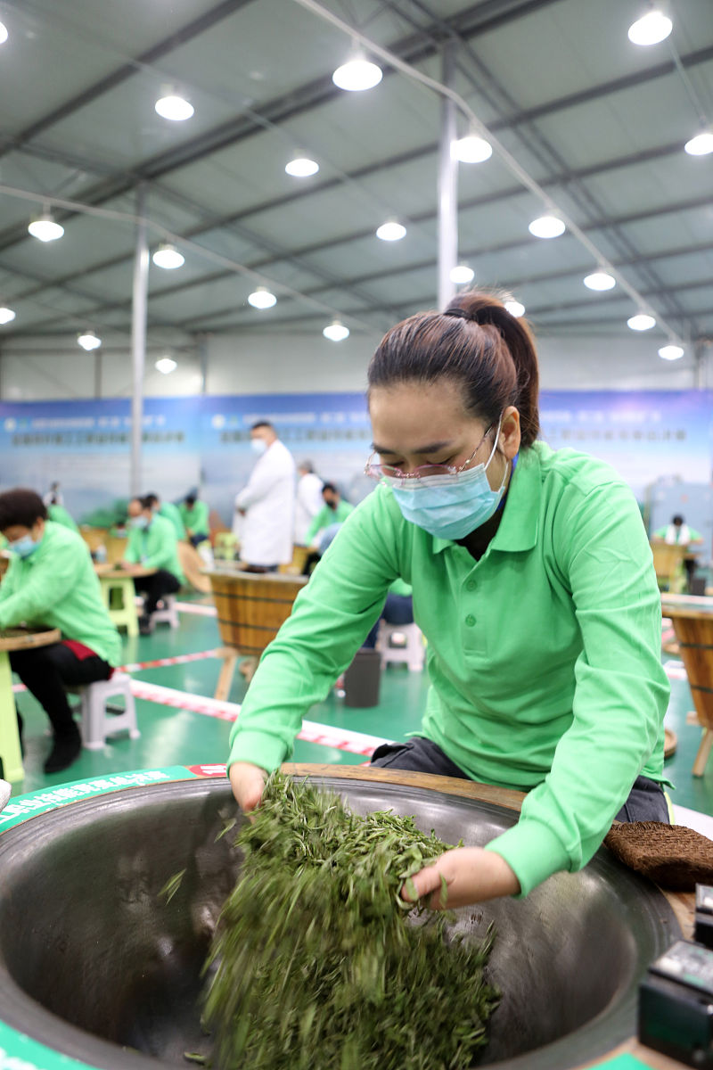 重庆轻工职业学院高职分类考试招生