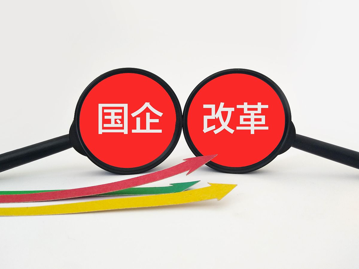 混合所有制改革:历程、现状与未来展望 混合所有制改革:历程、现状与未来展望